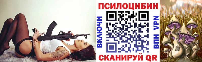 Галлюциногенные грибы Psilocybine cubensis  Купить закладки  Балей 